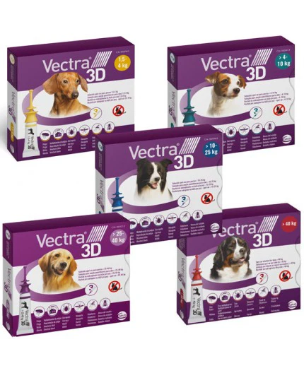 VECTRA 3D 3 PIP >40KG - immagine 2